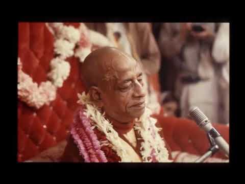 Prabhupada 0008 კრიშნა გვიცხადებს „მე ყველას მამა ვარ“